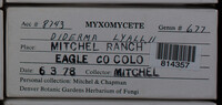 Image Associated With the Occurence